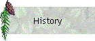 History