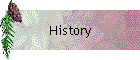 History