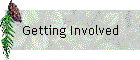 Getting Involved